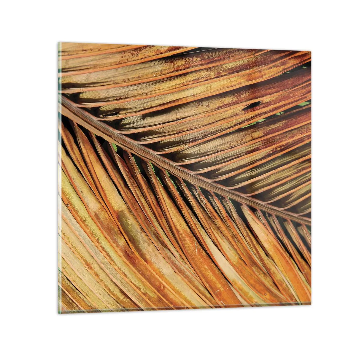 Impression sur verre - Image sur verre - Or de noix de coco - 30x30 cm