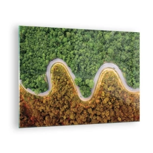 Impression sur verre - Image sur verre - Une route sinueuse à travers une forêt dense vue à vol d'oiseau - 70x50cm - Frontieres et differences - Décoration murale moderne pour le salon et la chambre ARTTOR