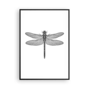 Affiche dans un cadre noir - Poster - Précision de la nature - 70x100 cm