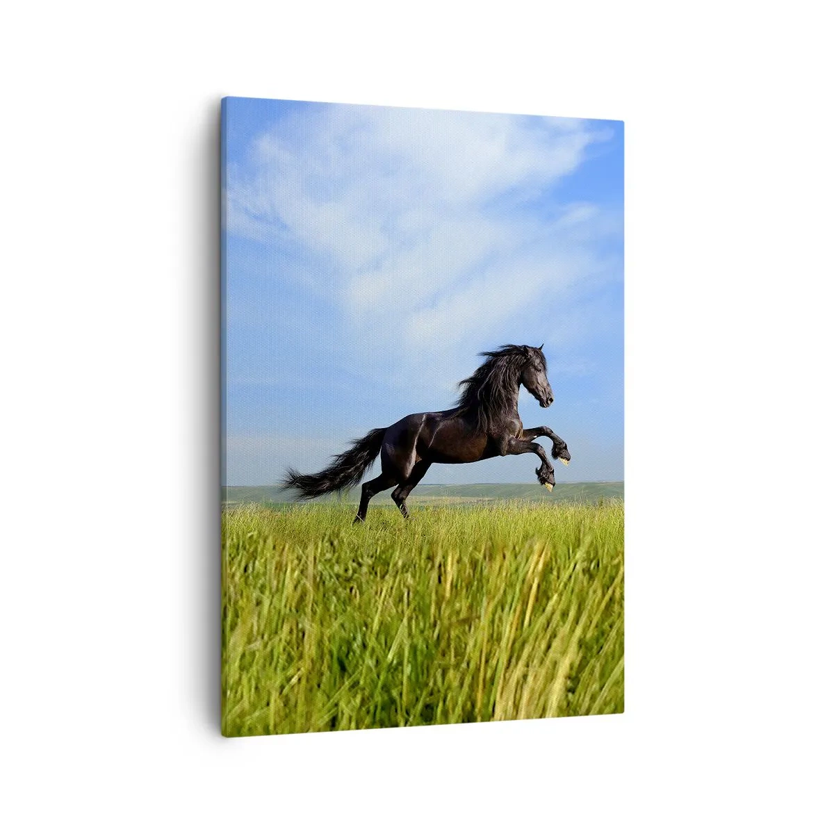 Impression sur toile - Image sur toile - Un cheval noir courant contre un ciel bleu et une prairie verte - 50x70cm - Un manifeste de liberté passionnant - Décoration murale moderne pour le salon et la chambre ARTTOR