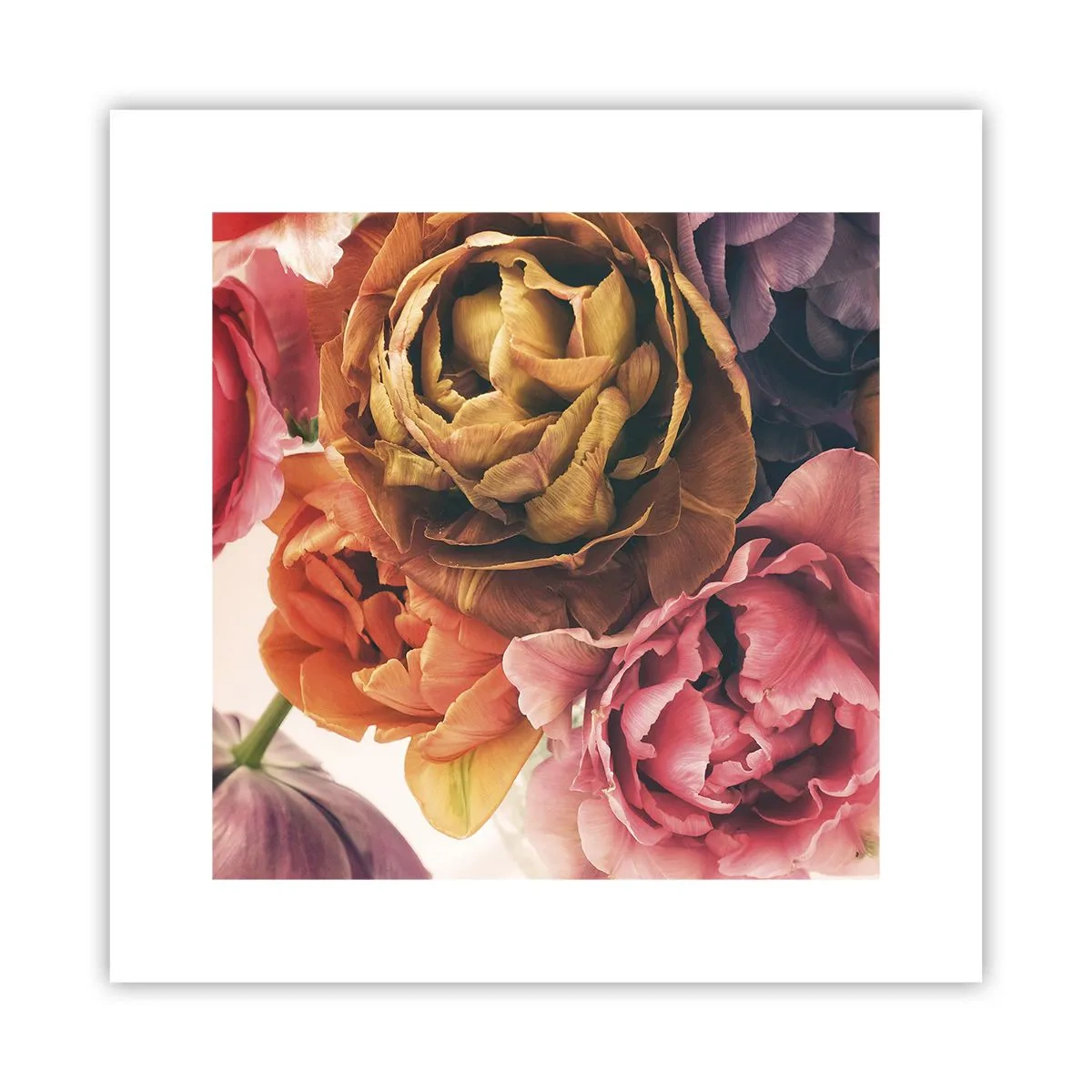 Affiche - Poster - La fête de la vie - 30x30 cm