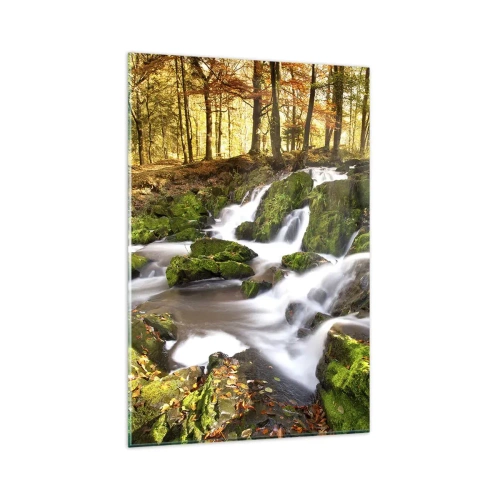 Impression sur verre - Image sur verre - Un paysage boisé avec une cascade entourée de mousse - 80x120cm - Rapidement à travers la forêt d'automne - Décoration murale moderne pour le salon et la chambre ARTTOR