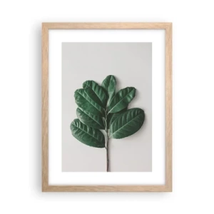 Affiche dans un chêne clair - Poster - Dessin de la nature elle-même - 30x40 cm