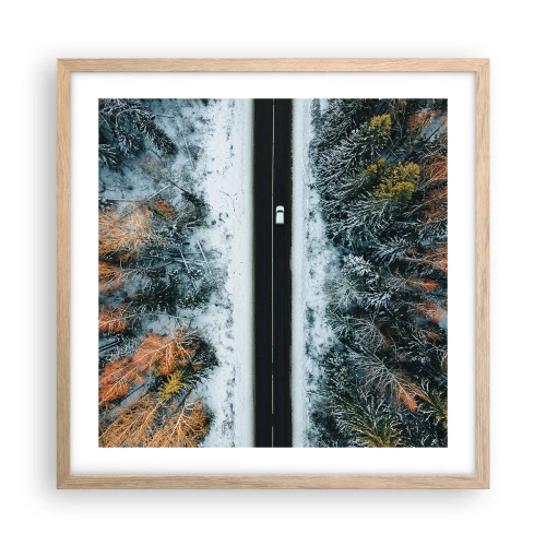 Affiche dans un chêne clair - Poster - Couper à travers la forêt d'hiver - 50x50 cm