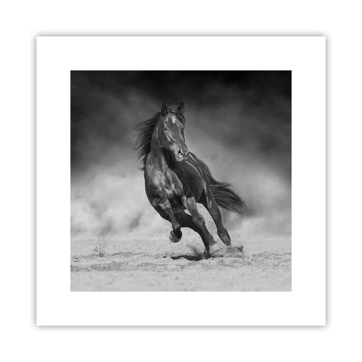 Affiche - Poster - Digne de l'émir lui-même - 30x30 cm