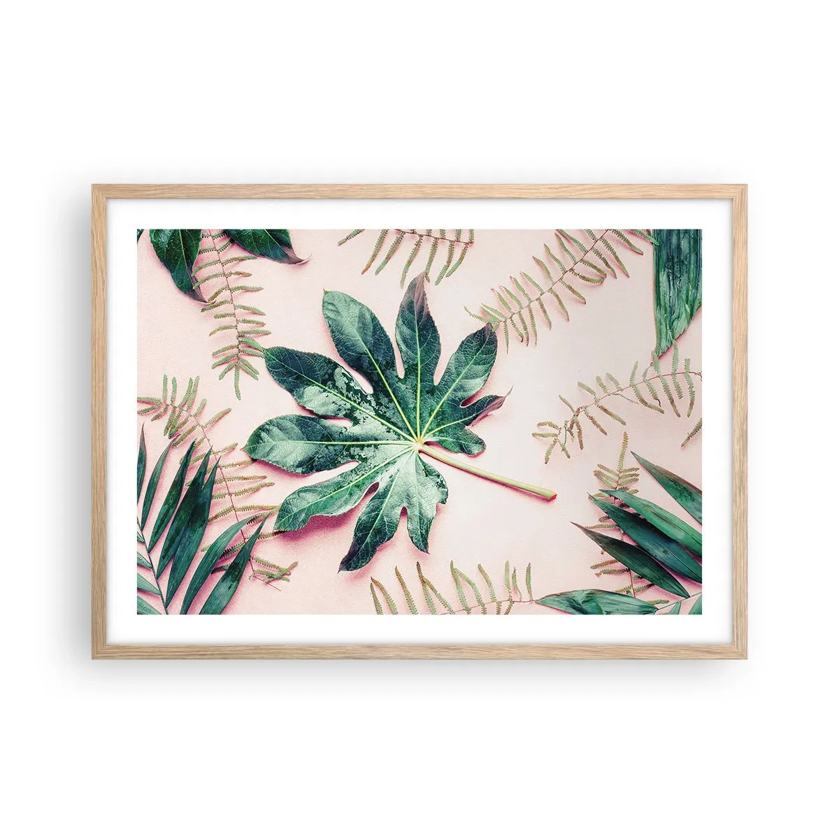 Affiche dans un chêne clair - Poster - Étude de verdure sur fond rose - 70x50 cm