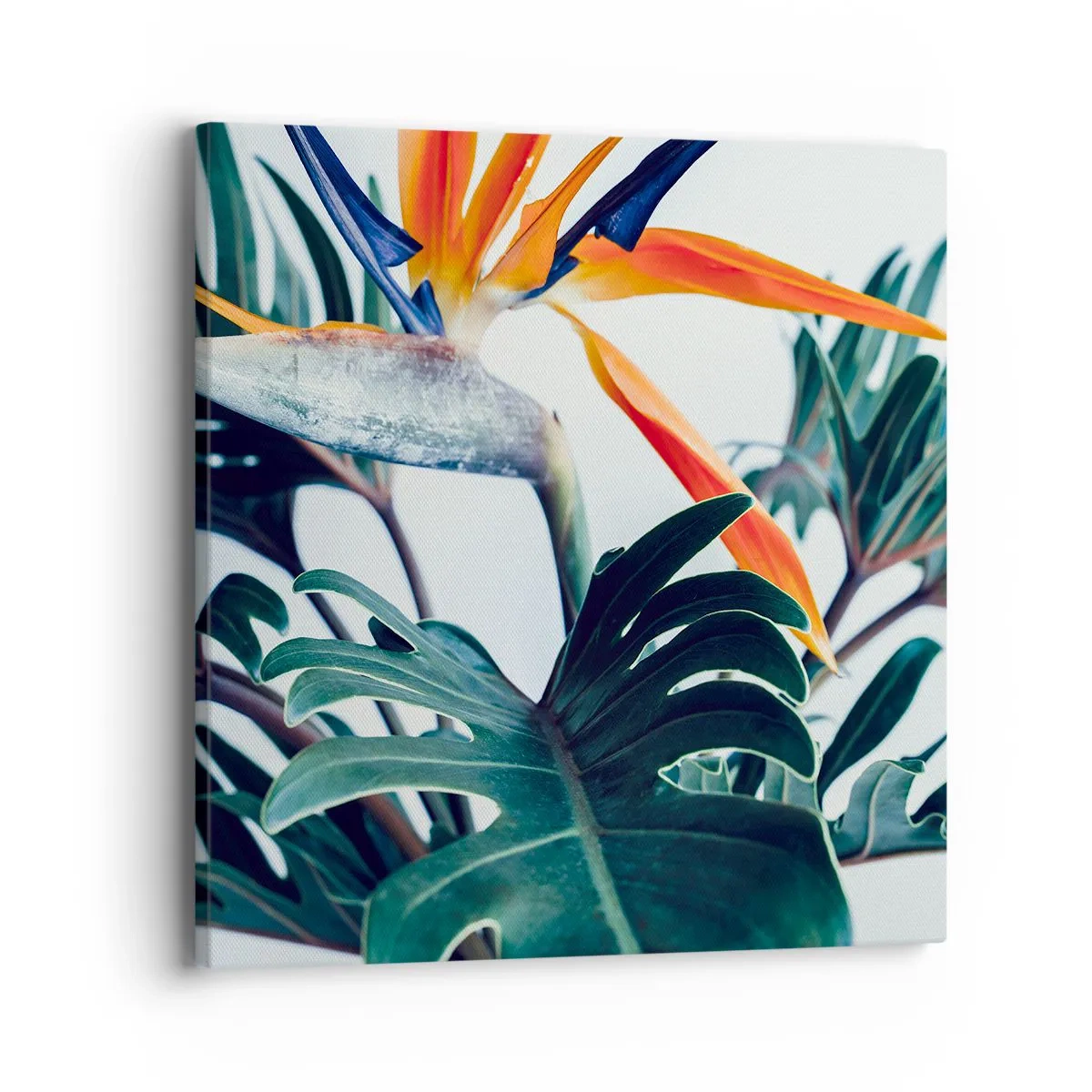 Impression sur toile - Image sur toile - Le buisson oiseaux - 40x40 cm