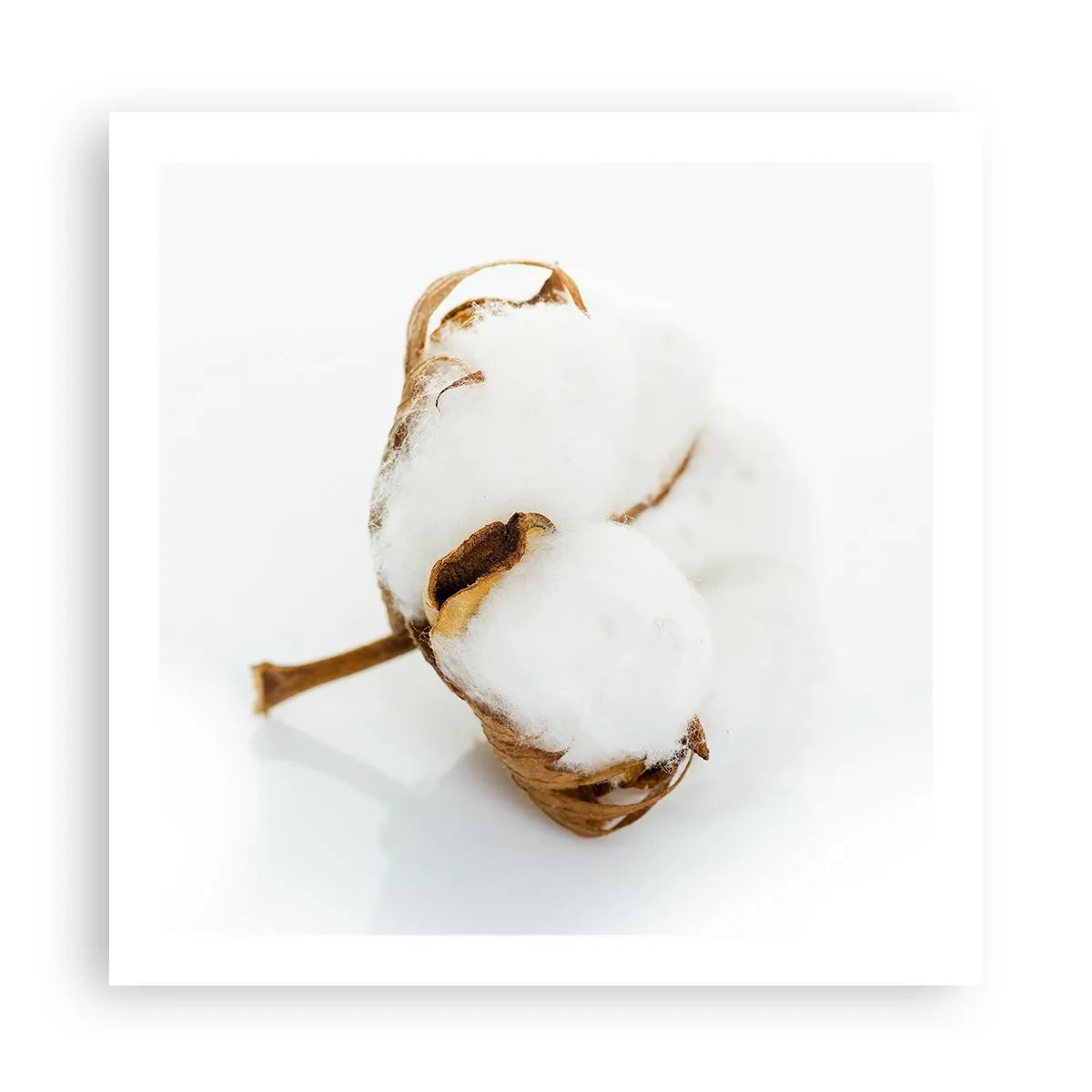 Affiche - Poster - Doux par nature - 60x60 cm