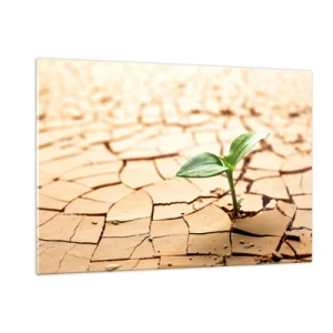 Impression sur verre - Image sur verre - Une jeune plante poussant dans une terre sèche et craquelée - 120x80cm - La force indomptable de la vie - Décoration murale moderne pour le salon et la chambre ARTTOR