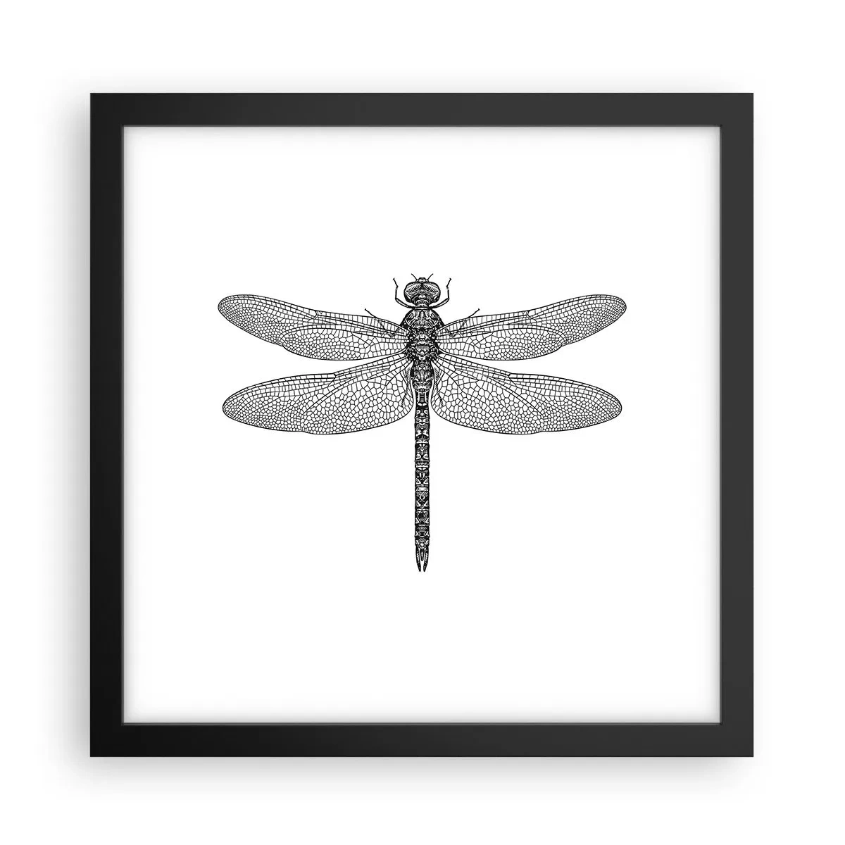 Affiche dans un cadre noir - Poster - Précision de la nature - 30x30 cm