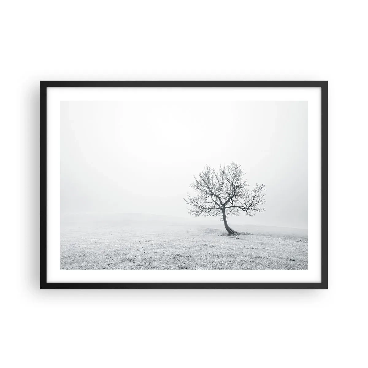 Affiche dans un cadre noir - Poster - Un arbre solitaire dans le brouillard hivernal dans un champ vide - 70x50cm - Contre le néant - Décoration murale moderne pour le salon et la chambre ARTTOR