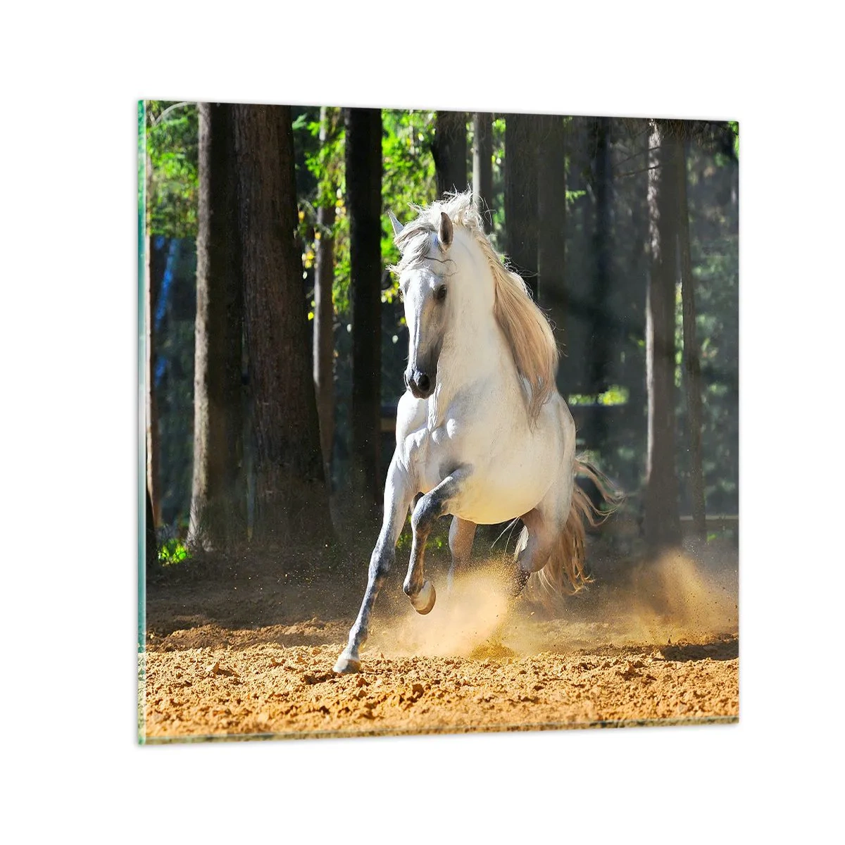 Impression sur verre - Image sur verre - Comme dans un roman fantastique - 30x30 cm
