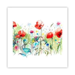Affiche - Poster - Prairie de fleurs en mai - 40x40 cm