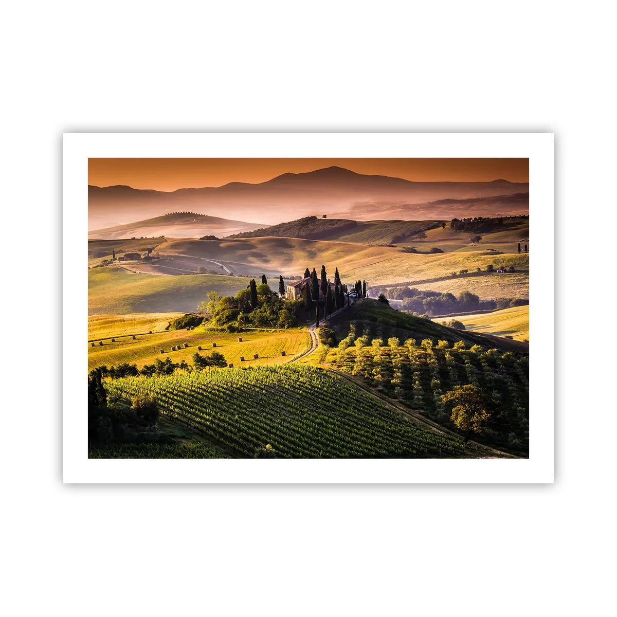 Affiche - Poster - Arcadie - le paysage toscan - 70x50 cm