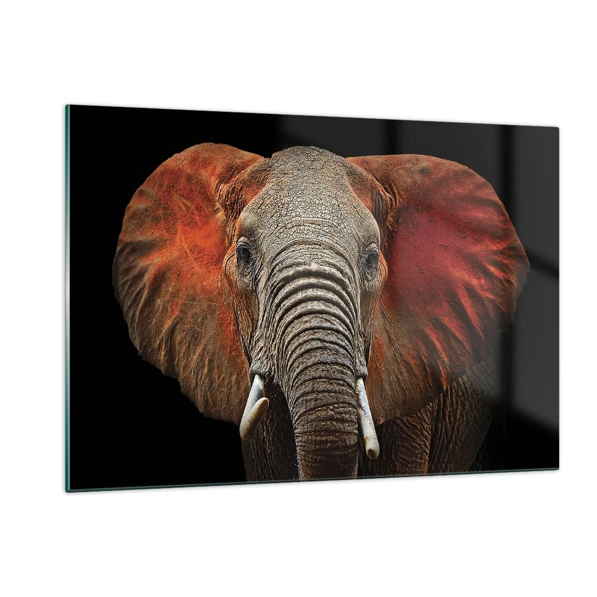 Impression sur verre - Image sur verre - Portrait d'un éléphant majestueux sur fond noir - 120x80cm - Je suis sauvage, et toi? - Décoration murale moderne pour le salon et la chambre ARTTOR