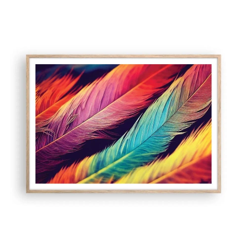 Affiche dans un chêne clair - Poster - Arc-en-ciel de plumes - 100x70 cm