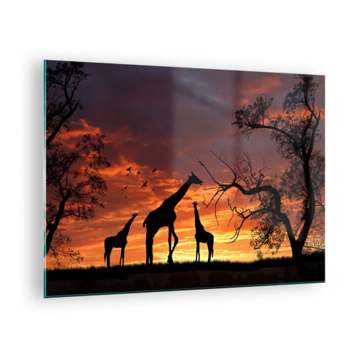 Impression sur verre - Image sur verre - Silhouettes de girafes sur fond de coucher de soleil dans un paysage africain - 70x50cm - Un petit dîner avec vos proches - Décoration murale moderne pour le salon et la chambre ARTTOR