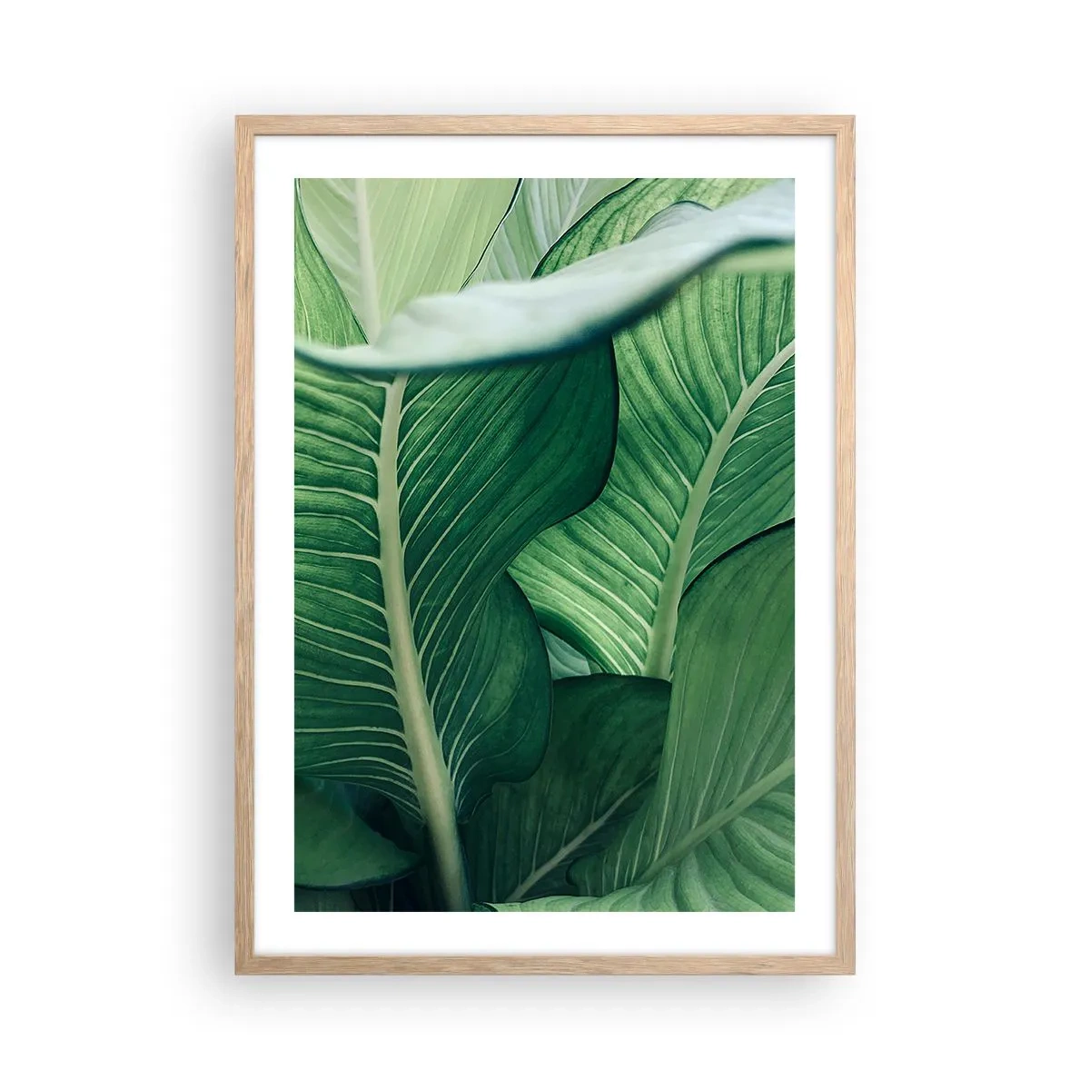Affiche dans un chêne clair - Poster - Une vie intensément verte - 50x70 cm