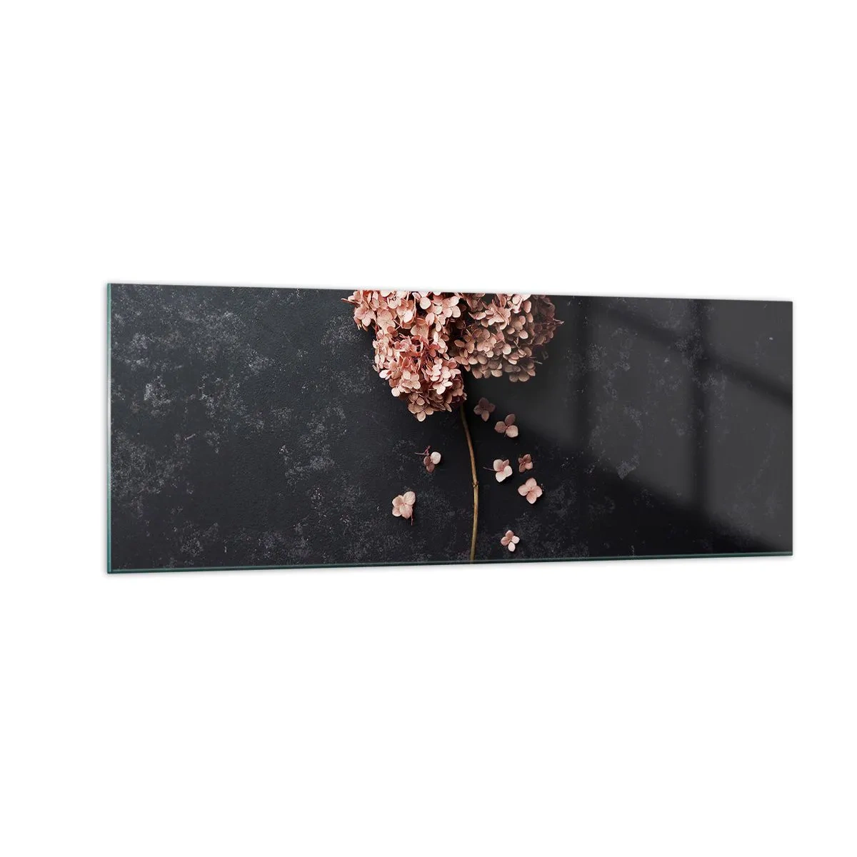 Impression sur verre - Image sur verre - Une délicate fleur d'hortensia sur un fond sombre - 140x50cm - Un signe vraiment romantique - Décoration murale moderne pour le salon et la chambre ARTTOR