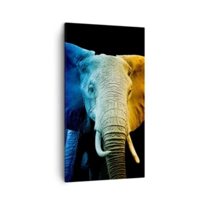 Impression sur toile - Image sur toile - Excentrique, pas bizarre - 45x80 cm