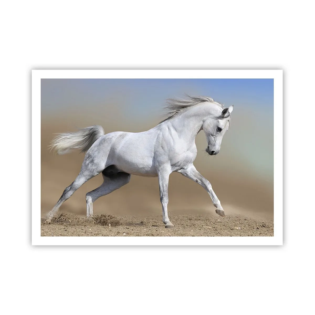 Affiche - Poster - Un cheval blanc galopant à travers un paysage désertique - 100x70cm - Le plus beau conte de fées arabe - Décoration murale moderne pour le salon et la chambre ARTTOR