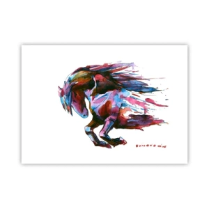 Affiche - Poster - Dans le ravissement - 70x50 cm