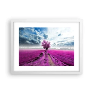Affiche dans un cadre blanc - Poster - Lande - nature sauvage - 40x30 cm