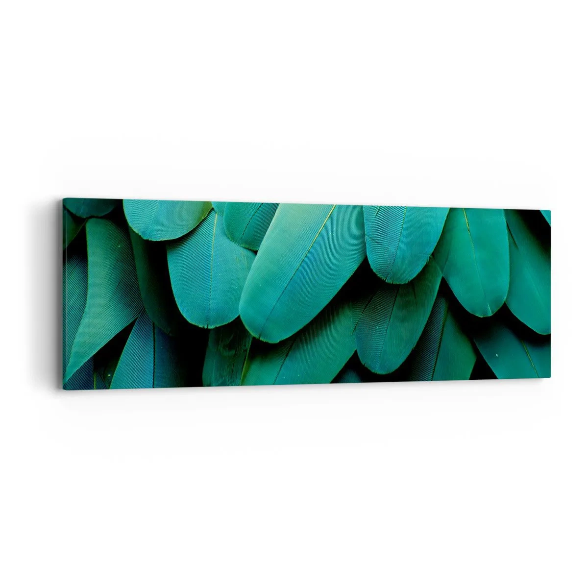 Impression sur toile - Image sur toile - Perfection de la nature du perroquet - 90x30 cm