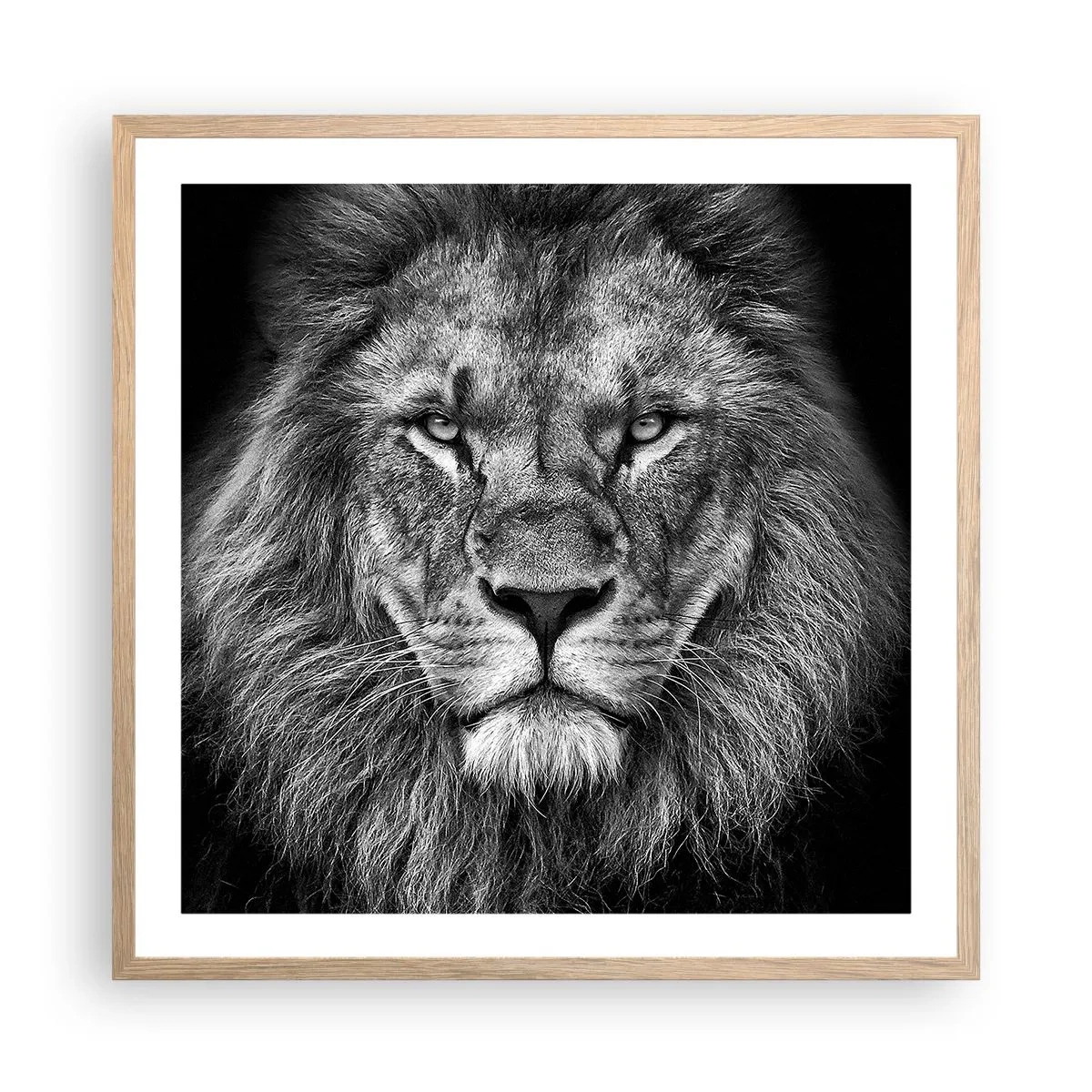 Affiche dans un chêne clair - Poster - En vêtement de sacre - 60x60 cm