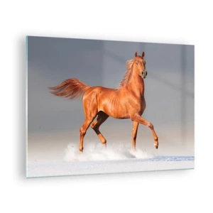 Impression sur verre - Image sur verre - Un cheval au galop contre un ciel lumineux - 70x50cm - La grâce dansante - Décoration murale moderne pour le salon et la chambre ARTTOR