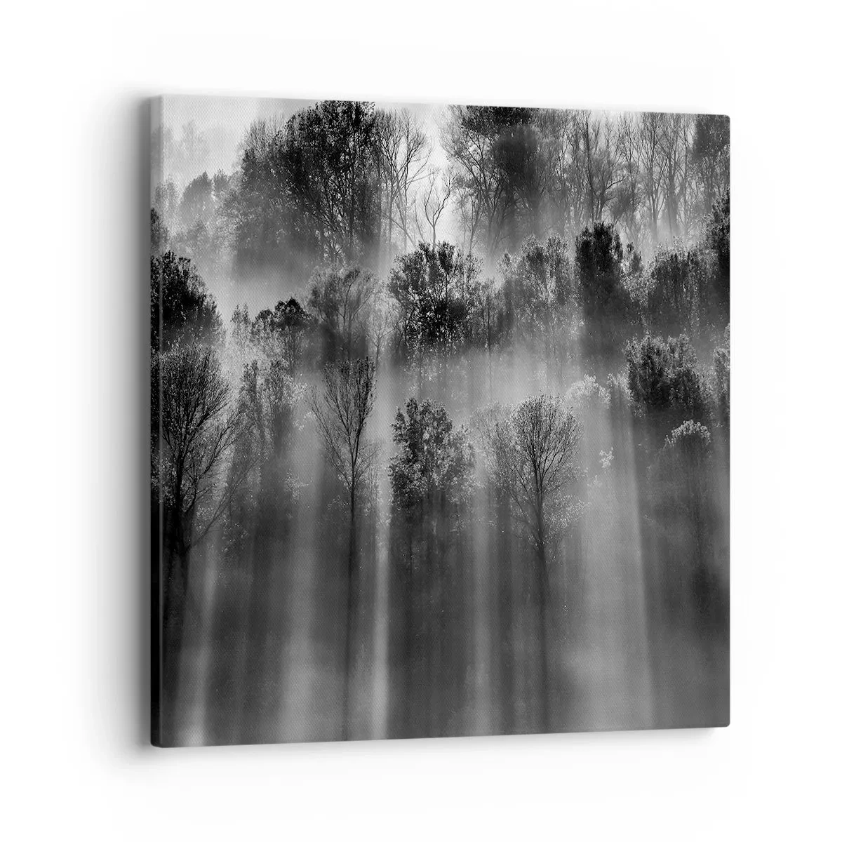 Impression sur toile - Image sur toile - Dans les flots de lumière - 40x40 cm