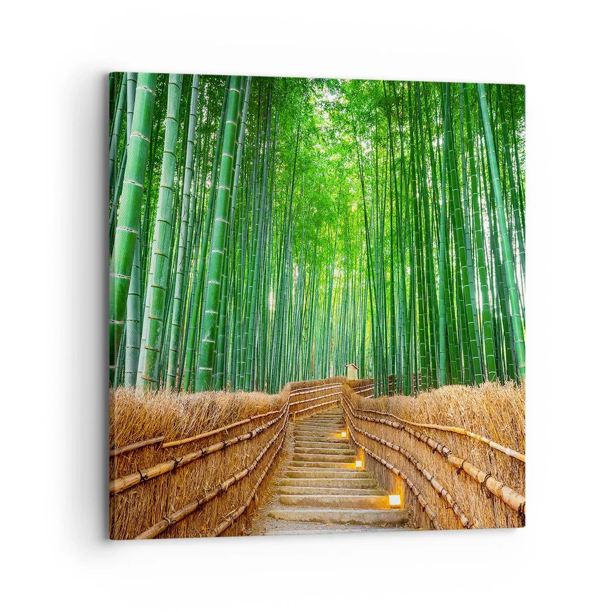 Impression sur toile - Image sur toile - L'essence de la nature asiatique - 70x70 cm