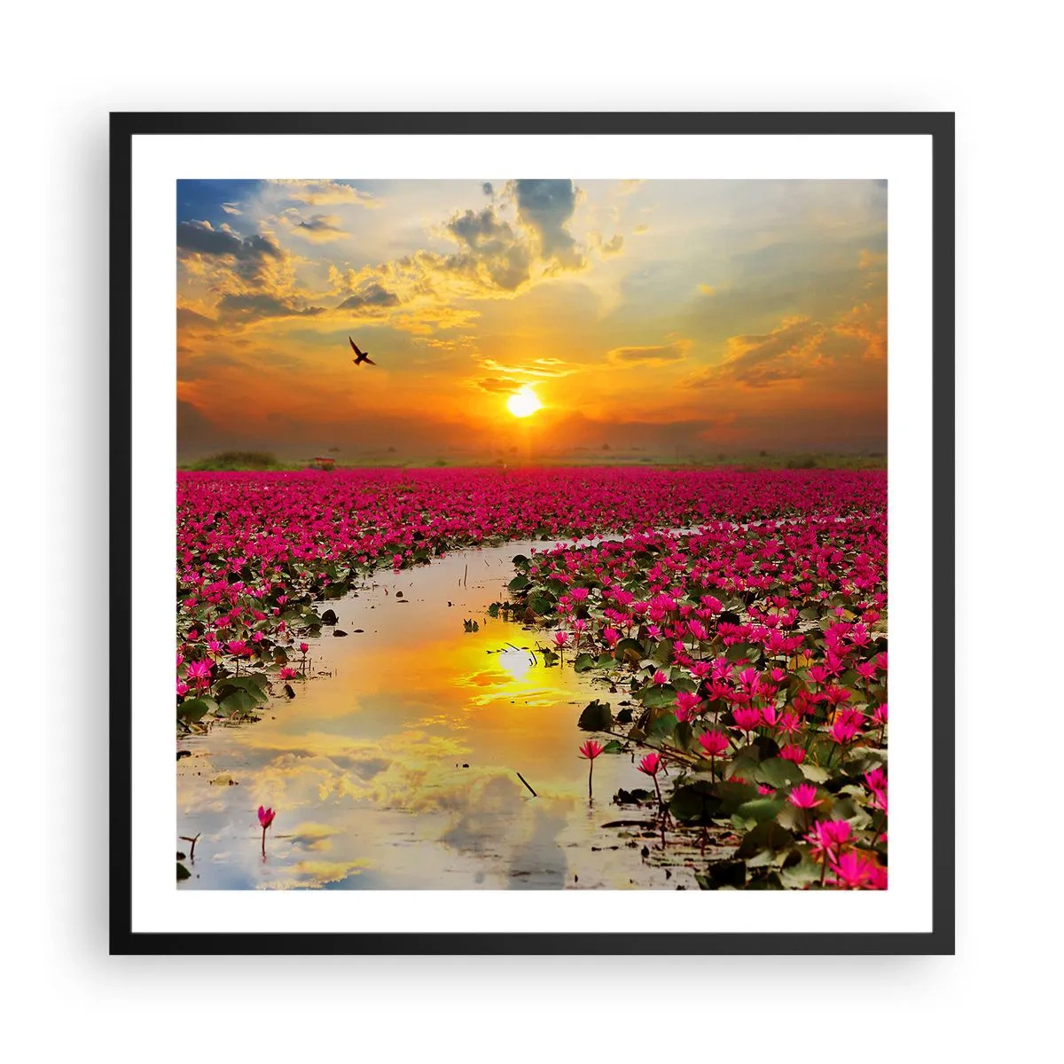 Affiche dans un cadre noir - Poster - La vie secrète du lac - 60x60 cm