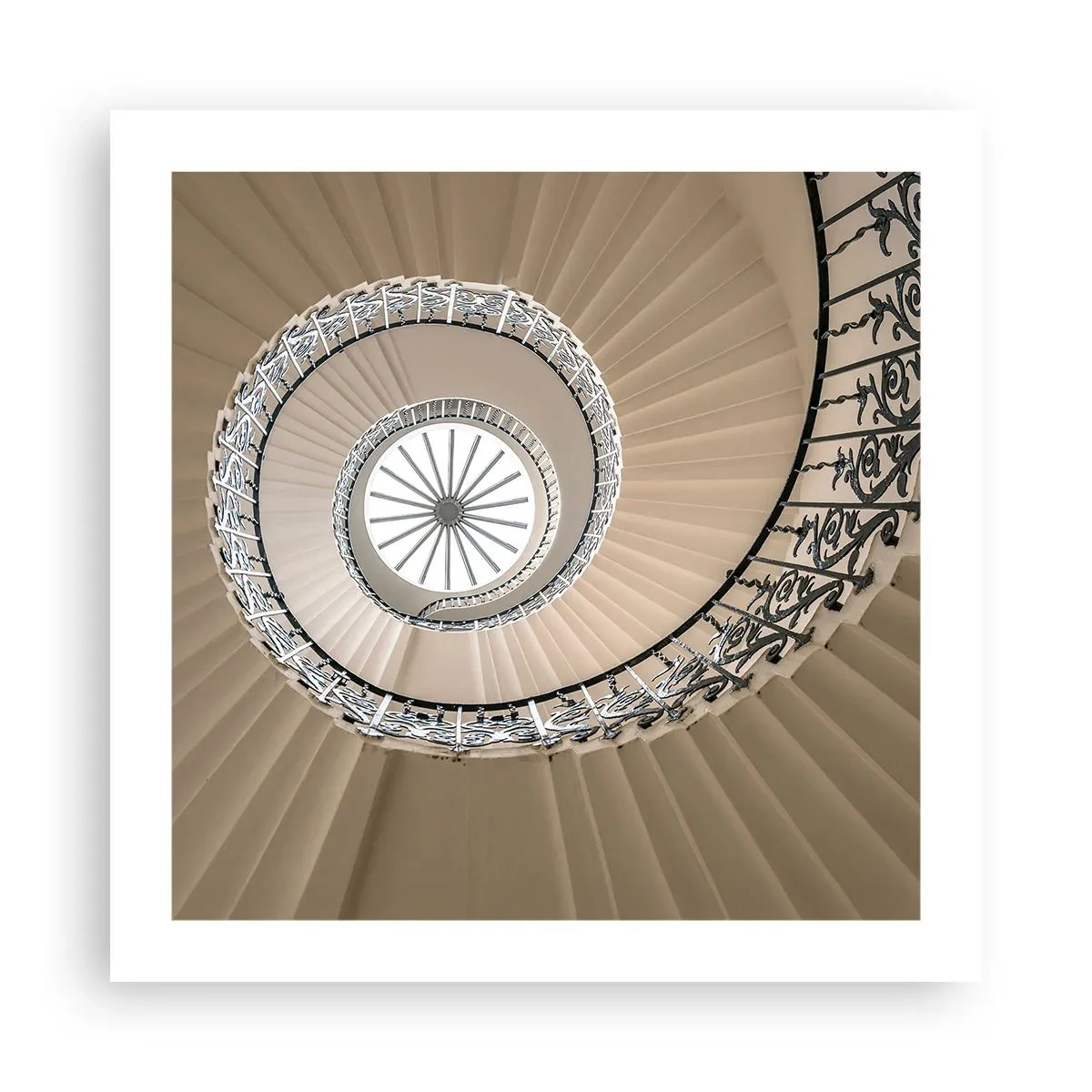 Affiche - Poster - À l'intérieur de la coquille - 50x50 cm