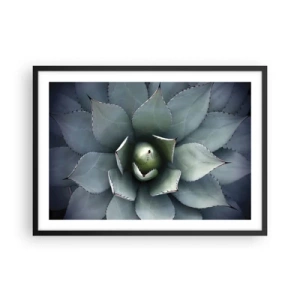 Affiche dans un cadre noir - Poster - Gros plan d'une rosette d'agave aux délicates nuances de vert - 70x50cm - Wabi et observe - Décoration murale moderne pour le salon et la chambre ARTTOR