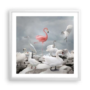 Affiche dans un cadre blanc - Poster - Comment suis-je arrivé là? - 50x50 cm