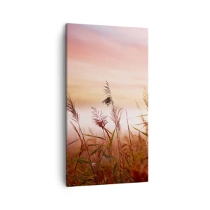 Impression sur toile - Image sur toile - Cerfs-volants, pissenlits, vent - 45x80 cm