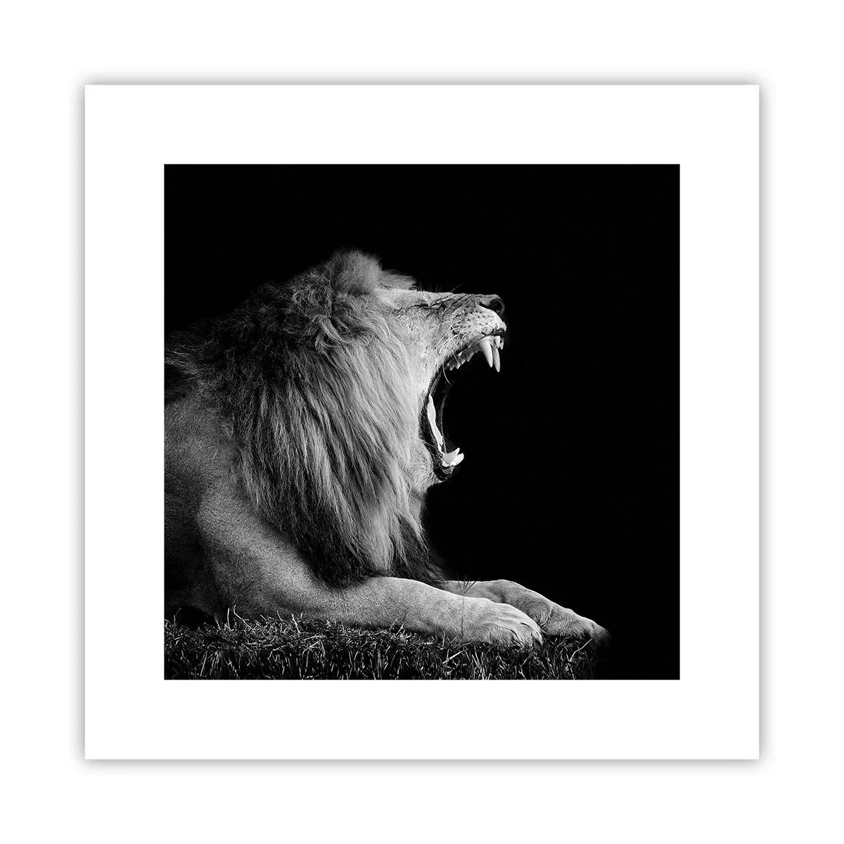 Affiche - Poster - Sans aucun doute - 30x30 cm