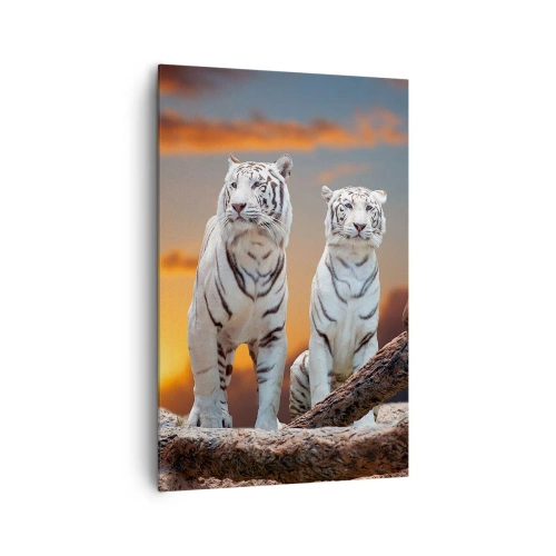 Impression sur toile - Image sur toile - Tigres blancs au soleil couchant sur fond de nature - 80x120cm - Tout comme à Narnia - Décoration murale moderne pour le salon et la chambre ARTTOR