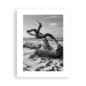 Affiche - Poster - Sculpture marine - 30x40 cm