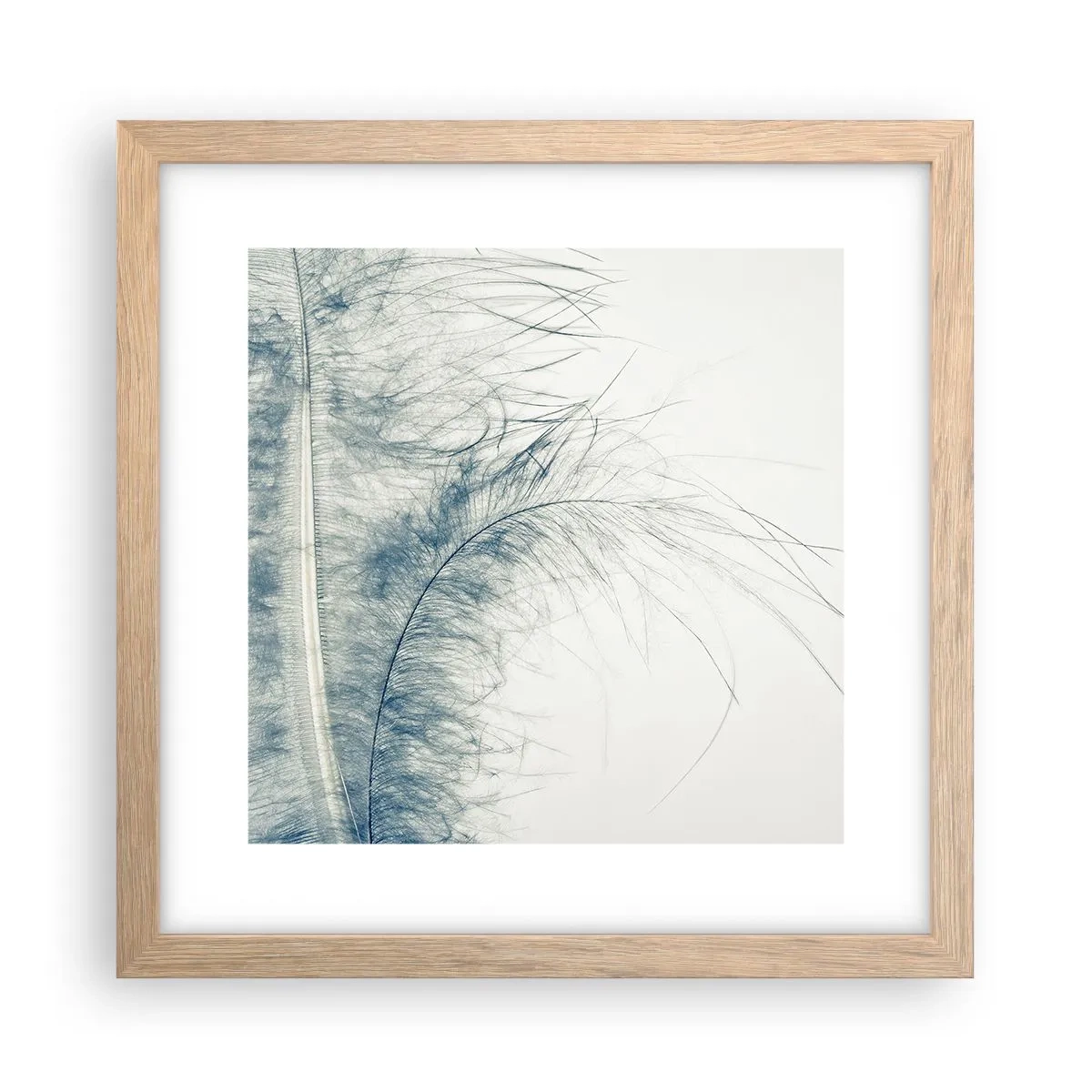 Affiche dans un chêne clair - Poster - Les sept natures - 30x30 cm