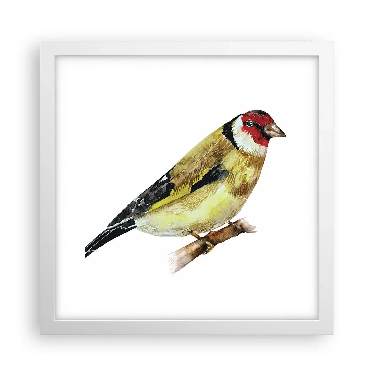 Affiche dans un cadre blanc - Poster - Portrait d'oiseau - 30x30 cm