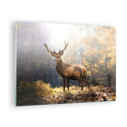 Impression sur verre - Image sur verre - Un cerf majestueux dans une forêt d'automne ensoleillée - 70x50cm - Toute sa majesté - Décoration murale moderne pour le salon et la chambre ARTTOR