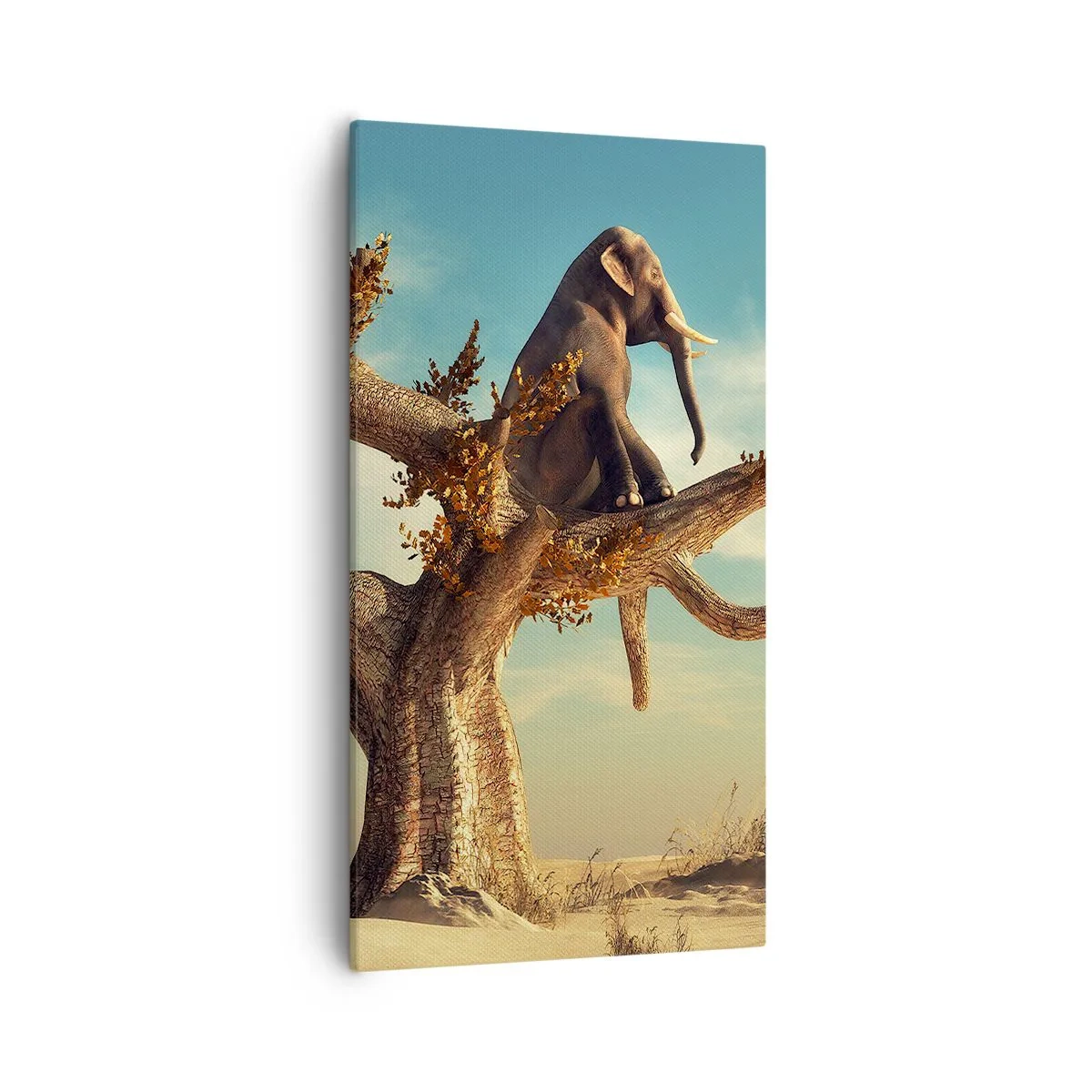 Impression sur toile - Image sur toile - Nouveau point de vue - 55x100 cm