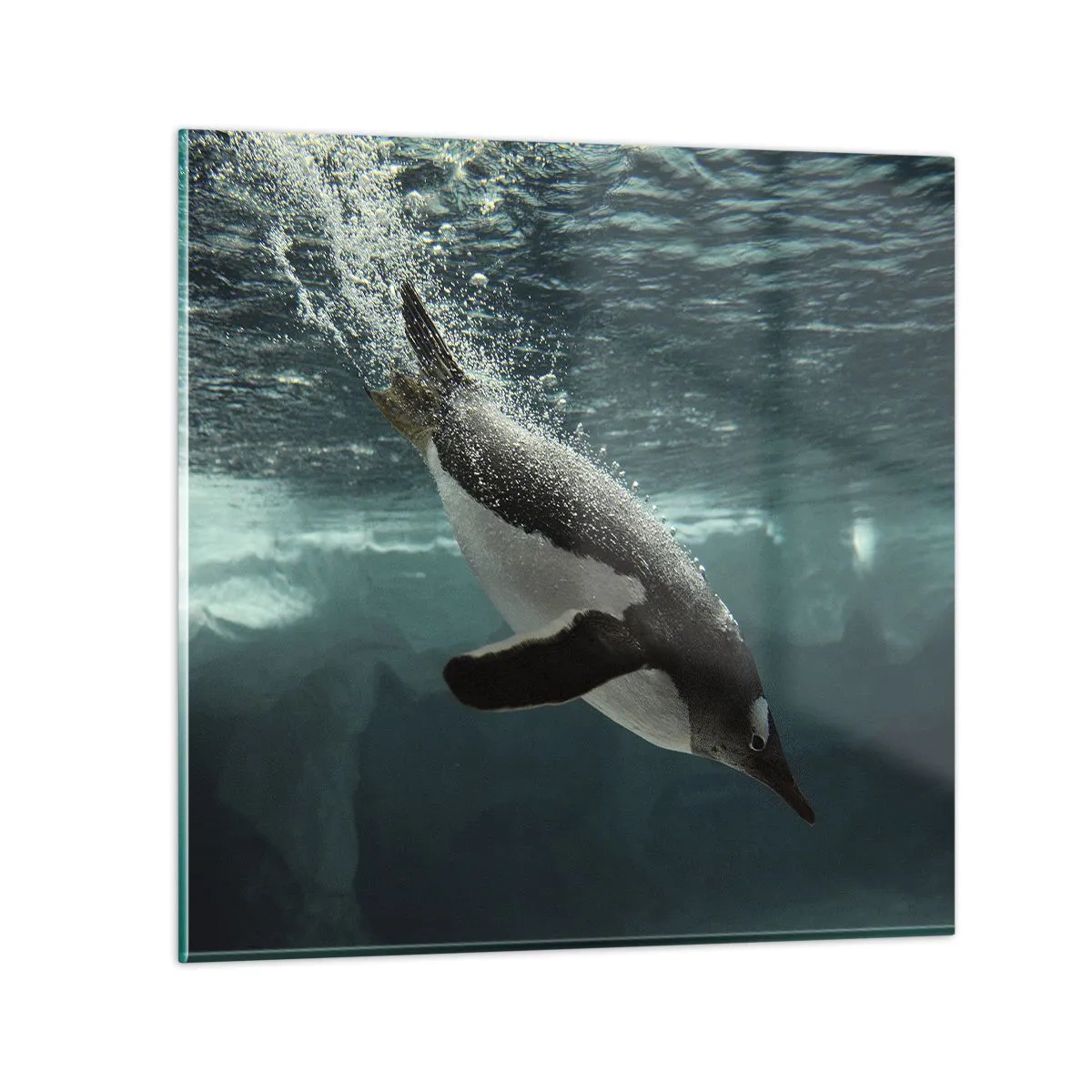 Impression sur verre - Image sur verre - Bienvenue dans mon monde - 70x70 cm