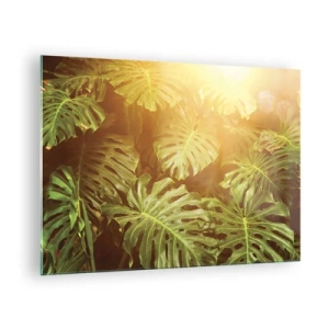 Impression sur verre - Image sur verre - Feuilles de monstera vertes sous la lumière dorée du soleil tropical - 70x50cm - Se fondre dans la verdure - Décoration murale moderne pour le salon et la chambre ARTTOR