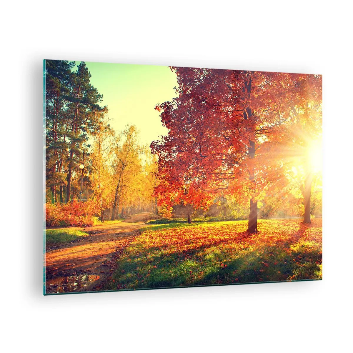 Impression sur verre - Image sur verre - Allée d'automne avec des rayons de soleil - 70x50cm - Le roux est beau - Décoration murale moderne pour le salon et la chambre ARTTOR