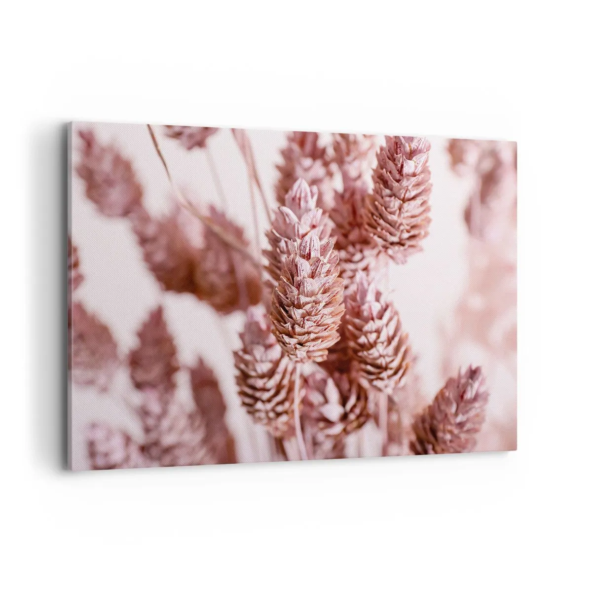 Impression sur toile - Image sur toile - Gros plan sur les délicats épis roses des graminées ornementales - 100x70cm - Apparemment discret - Décoration murale moderne pour le salon et la chambre ARTTOR