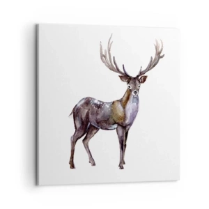 Impression sur toile - Image sur toile - Roi de la forêt du nord - 60x60 cm