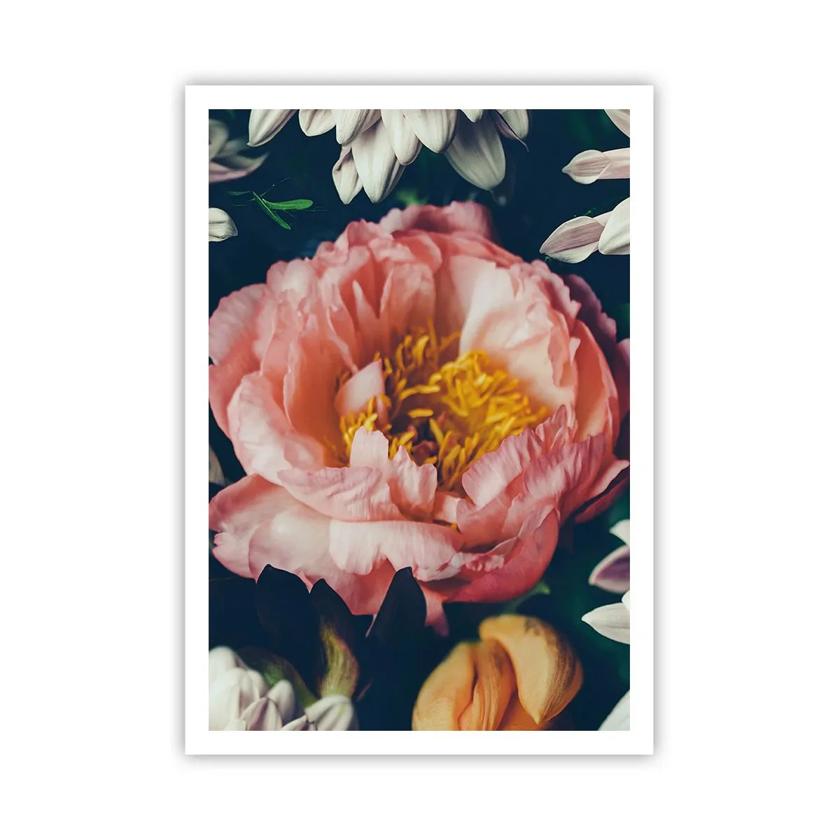 Affiche - Poster - Splendeur baroque - 70x100 cm